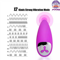 PREMIUM PULSE VIBRATOR - 12 SPEED POWERFUL VIBRATIONS & PULSES - USB - FREE LUBE